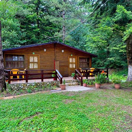 Villa Uji I Panjes Llogara Vlorë Exterior foto